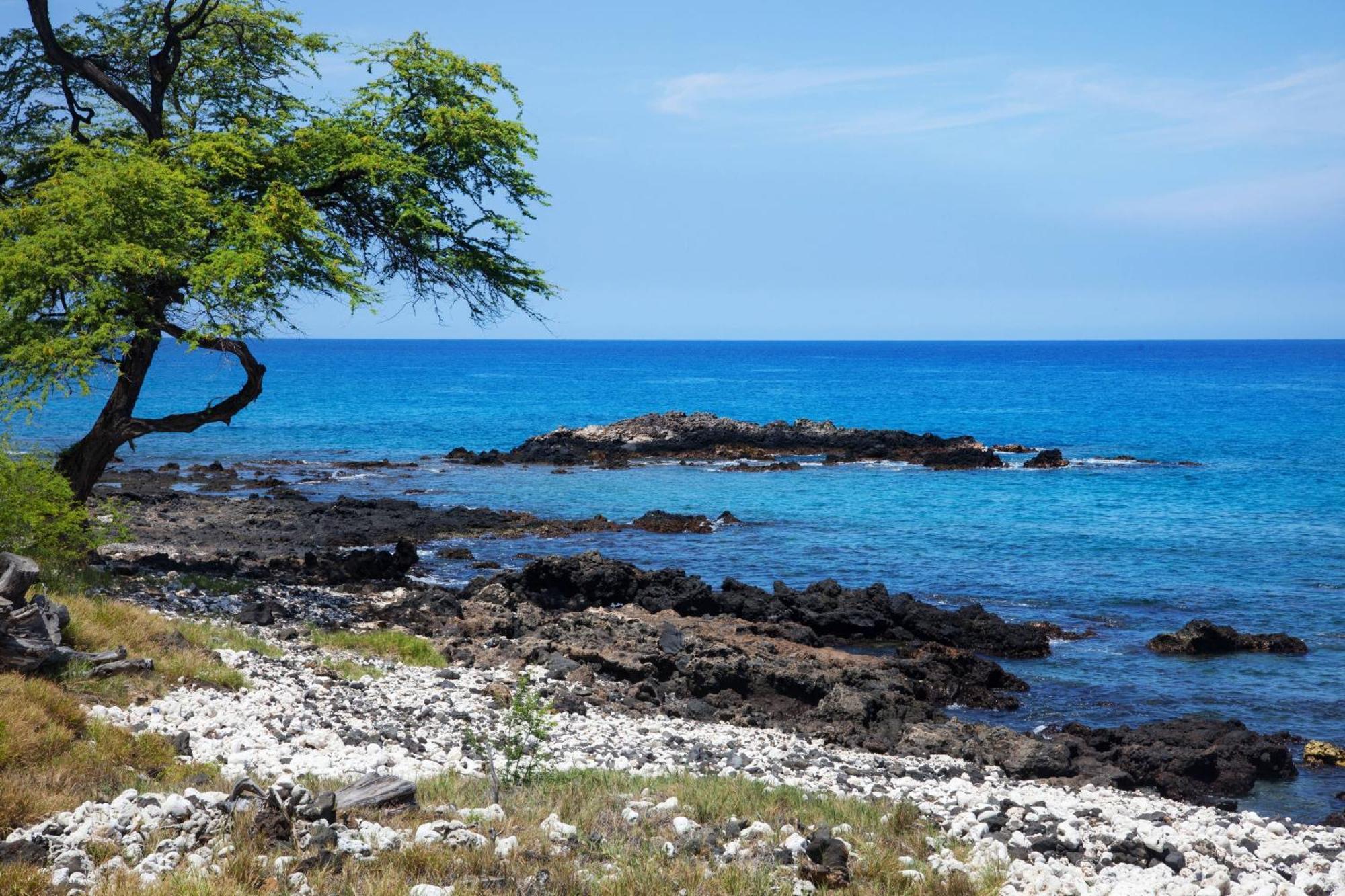 マウナ ケア ビーチ ホテル オートグラフ コレクション Kohala Coast エクステリア 写真
